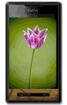 Nature Cellphone Wallpapers