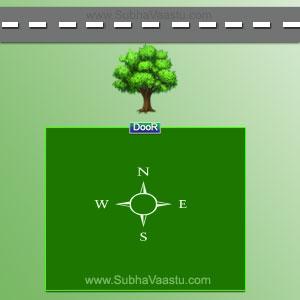 Tree in front of Home in vastu