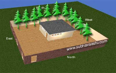 Trees effects on house as per Vastu