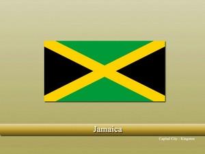 Vastu pandit in Jamaica