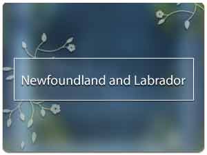 Vastu specialist in Newfoundland and Labrador