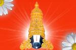 Lord Balaji Wallpaper