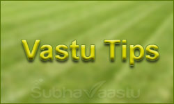 best vastu expert in Canada