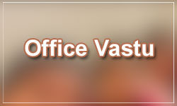 best vastu shastri in Cape Town