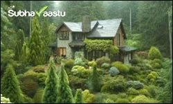 Vastu environments