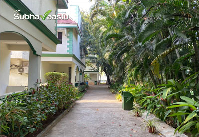 Residential walkway lined with flourishing plants and trees, promoting harmony and prosperity