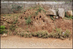 Ant Hills as per Vastu