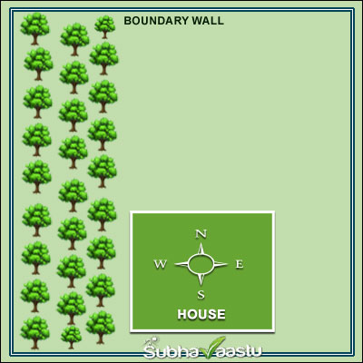 Vastu-Wise Tree Planting Tips for the West Side of Your Home