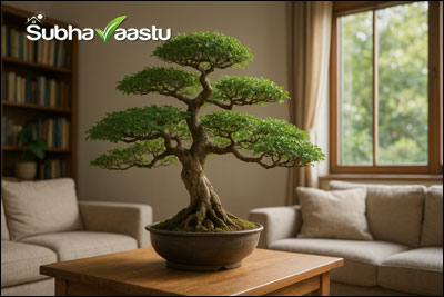 Bonsai tree placement in home as per Vastu