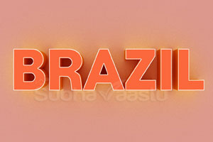 vastu consultant in brazil