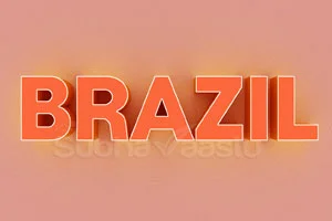 vastu consultant in brazil