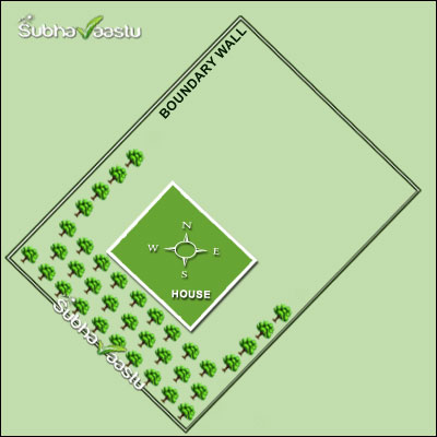 Diagonal tree alignment in corner plot covering South and West with open Northeast