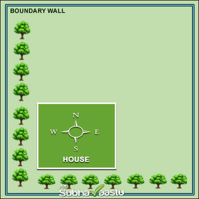 Where to Plant Trees in a Vastu-Compliant Way