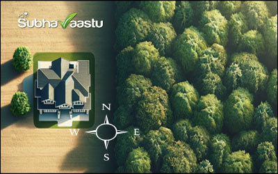 Vastu guidelines for planting trees in East direction
