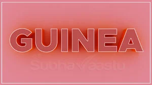 vastu consultant in Guinea