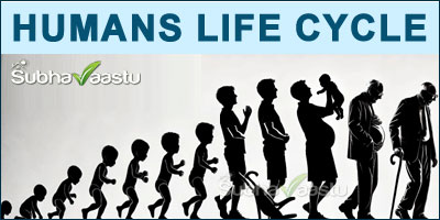 Humans Life Cycle and Vastu