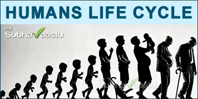 Humans Life Cycle and Vastu