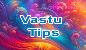 Indias Best Vastu Consultant