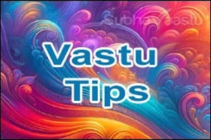 Indias Best Vastu Consultant