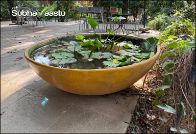 Large decorative water bowl with water lilies, suitable for South, West, or Southwest zone as per Vastu