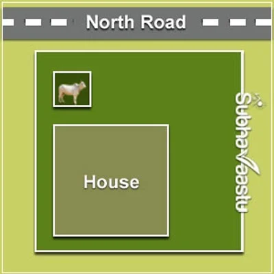 North cow shed