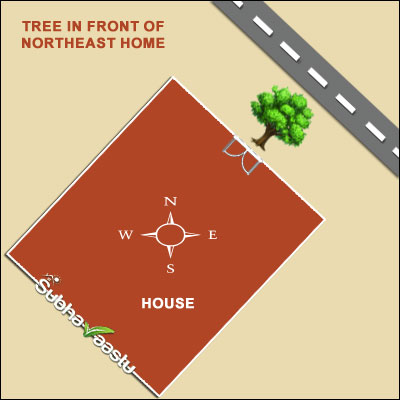 Is It Auspicious to Have a Tree in Front of a Northeast Entrance?