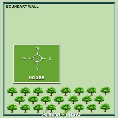 vastu trees around the house