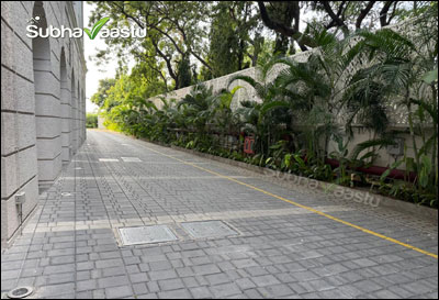 Neatly maintained plants along a modern home's compound wall with paved driveway