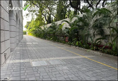 Neatly maintained plants along a modern home's compound wall with paved driveway