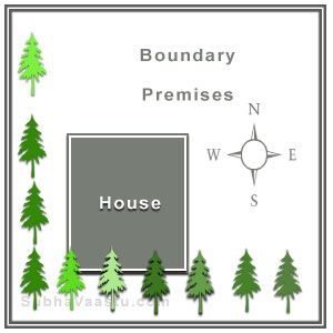 Vastu for Trees