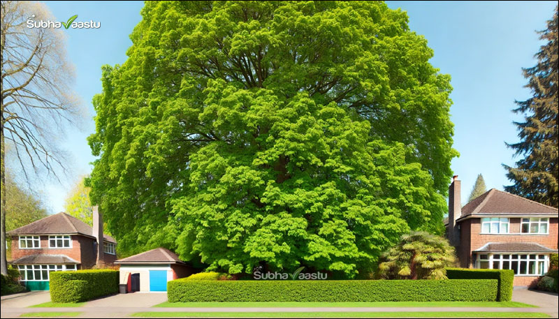 Neighborhood Vastu in Hindi