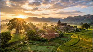 Telangana Village Landscape