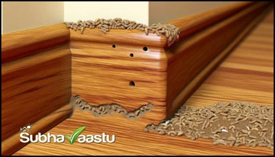 disadvantages of termites in the home