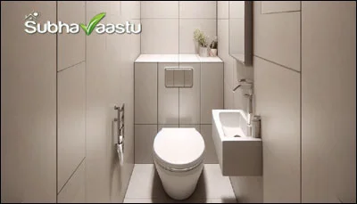 Toilet in South shop