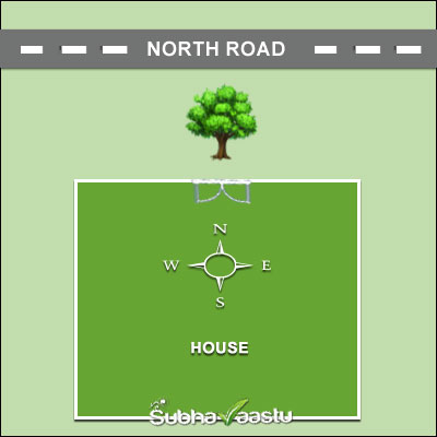 Tree in front of the main entrance of a north-facing house – Vastu representation
