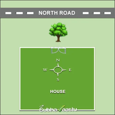 Tree in front of the main entrance of a north-facing house – Vastu representation