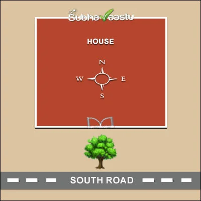 Tree positioned directly in front of the main door of a South-facing house as per Vastu illustration