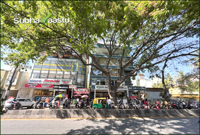 Tree directly facing the main entrance of a South-facing property as per Vastu perspective.