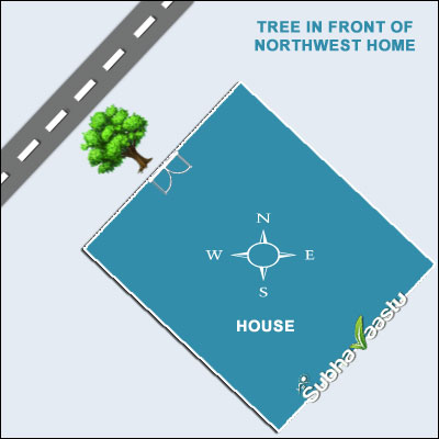 Do Trees Disrupt Energy When Placed Before Northwest Entrances?
