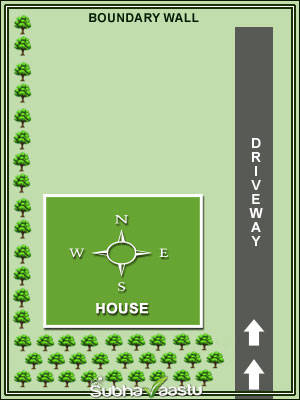 Zigzag tree plantation layout for a rectangular plot with longer North-South dimension and an East-side driveway