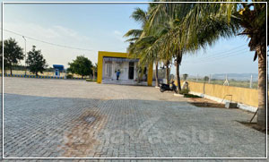 Planting trees in Petrol Station