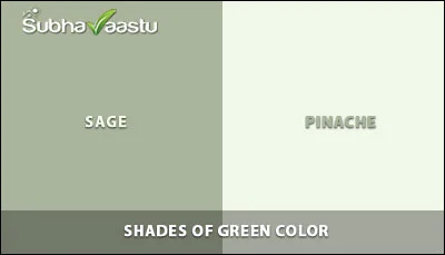 Colors for studies