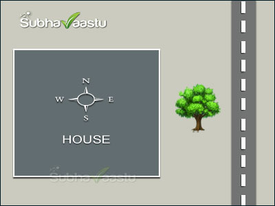 East-facing house with slope toward the east, auspicious Vastu site for prosperity