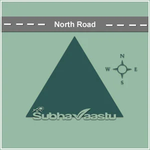 Shops and Vastu