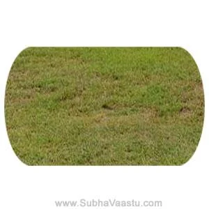 Vardhaka Shape or Capsule shape
