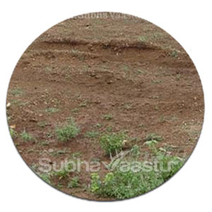 vastu circular sites vastu
