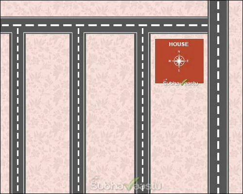 Experienced Vastu Specialist