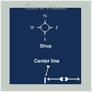 vastu for South Facing shops