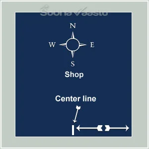 vastu for South Facing shops