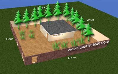 Trees effects on house as per Vastu